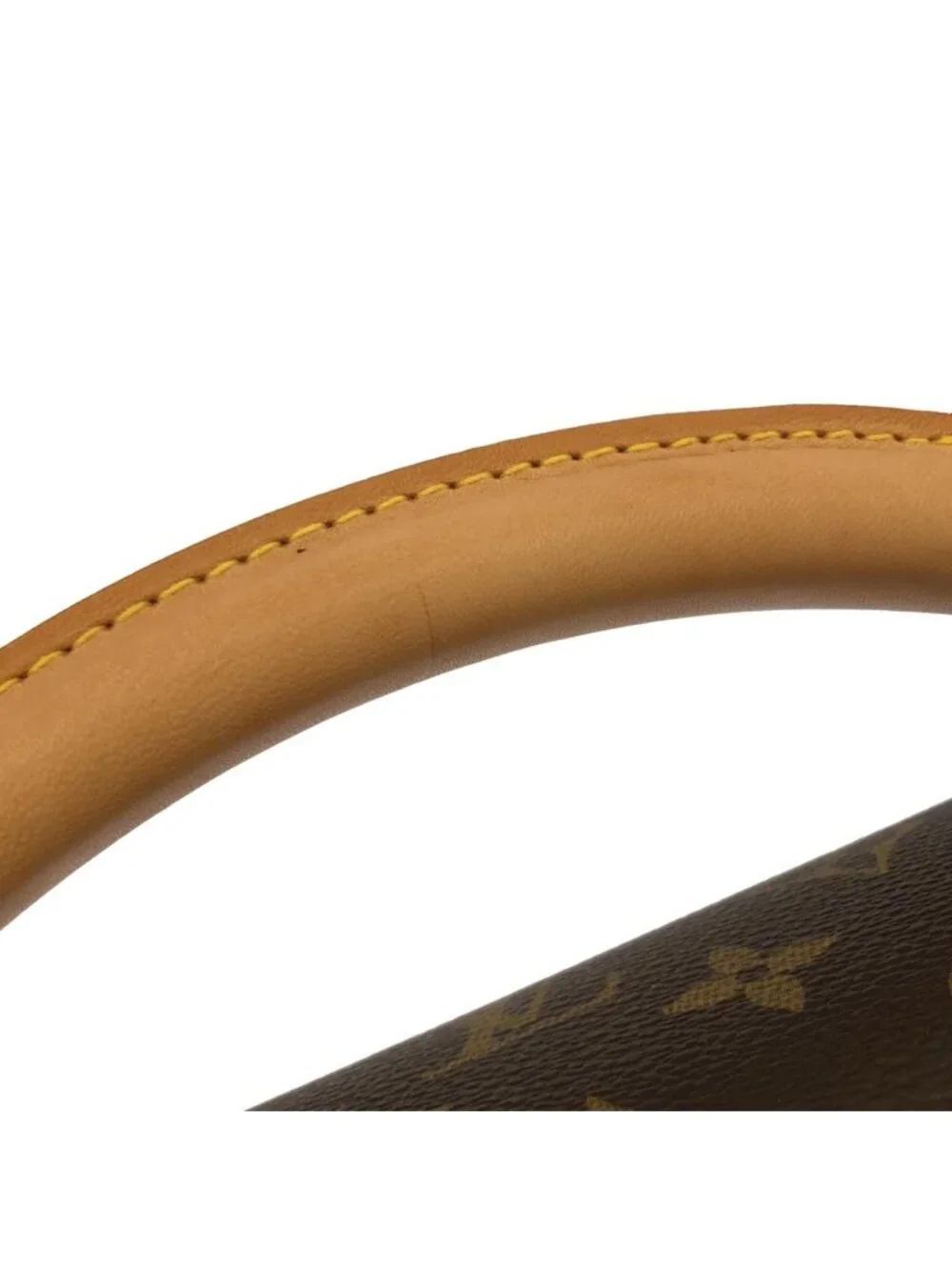Louis Vuitton Monogram Robusto